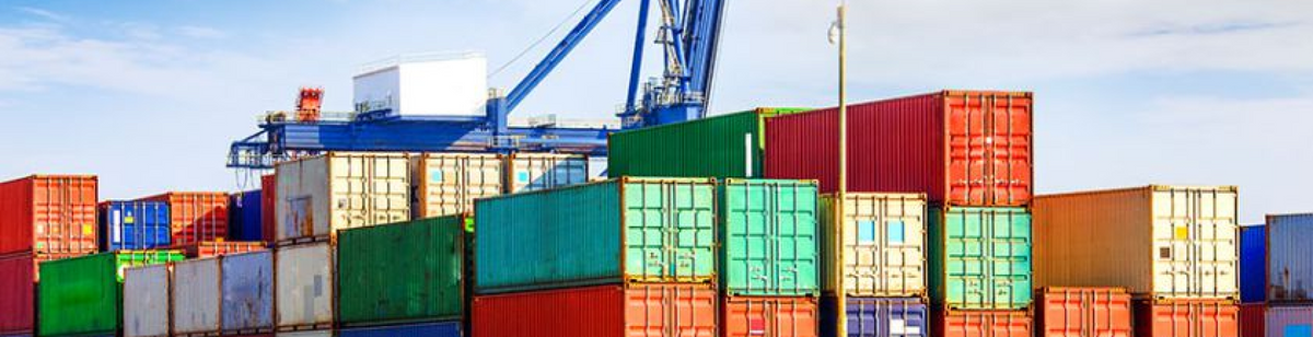 40 Foot Side Door Shipping Container (4 Doors) – Containers Canada